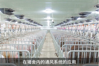 怎樣提高雞舍鴨舍豬舍養(yǎng)殖場(chǎng)的環(huán)境通風(fēng)效果？